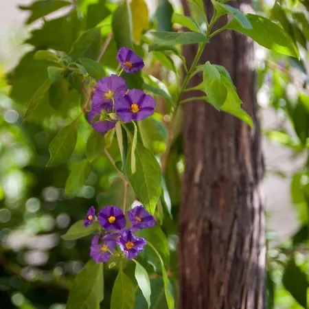 With Parking Space - 8817 Appartamento *